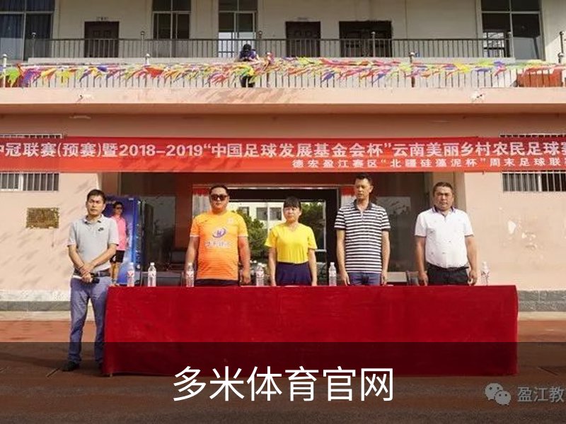 多米体育官网简介